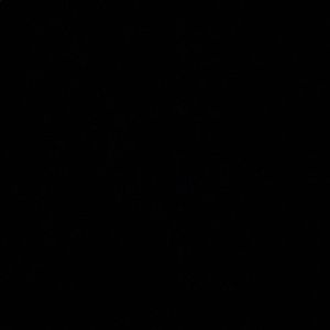 Meet your Posher, Ava